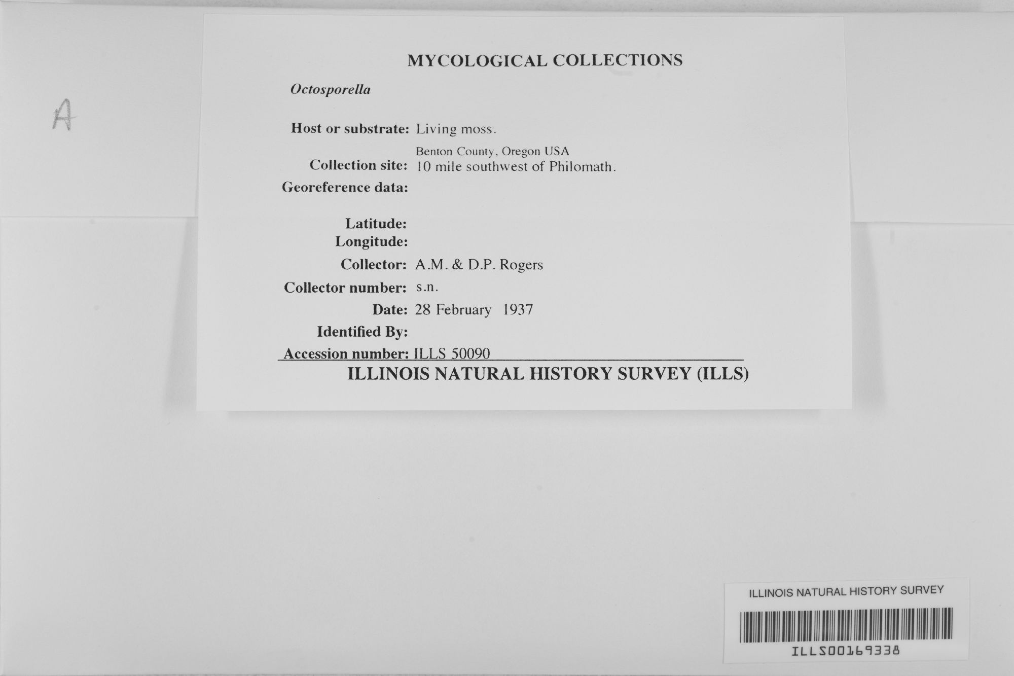 Octosporella thumbnail