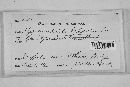 Pseudochaete tabacina image