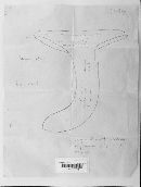 Boletochaete bicolor image