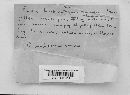 Thumbnail image of current specimen
