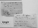 Dacrymyces minor image