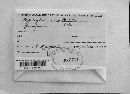 Euepixylon udum image