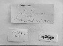 Fomitopsis cajanderi image
