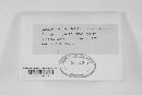 Thumbnail image of current specimen