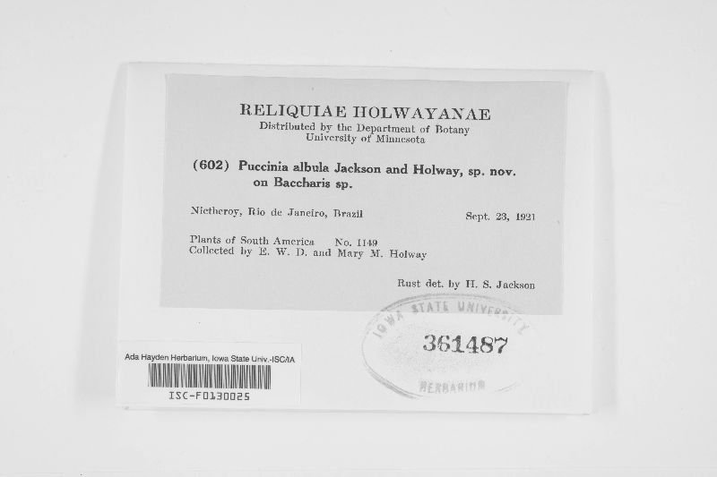 Puccinia albula image