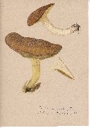 Image Associated With the Occurrence