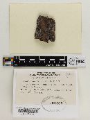 Image Associated With the Occurrence