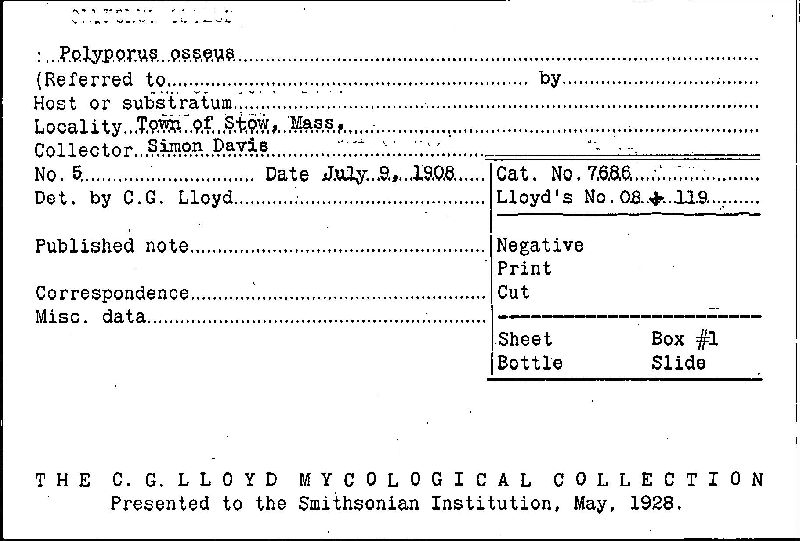 Osteina obducta image