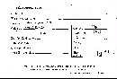 Scleroderma cepa image