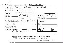 Steccherinum ochraceum image