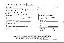 Antrodia juniperina image