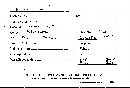 Bovista plumbea image