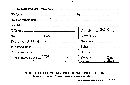 Media resource of Austrogautieria rodwayi