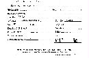 Descomyces albus image