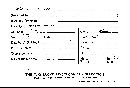 Meripilus giganteus image