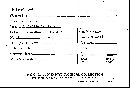 Galiella rufa image