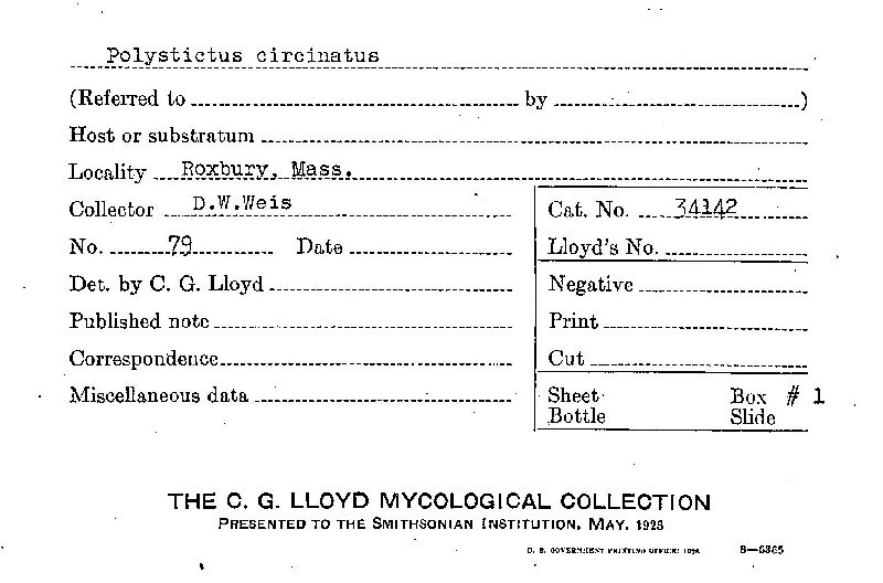 Onnia circinata image