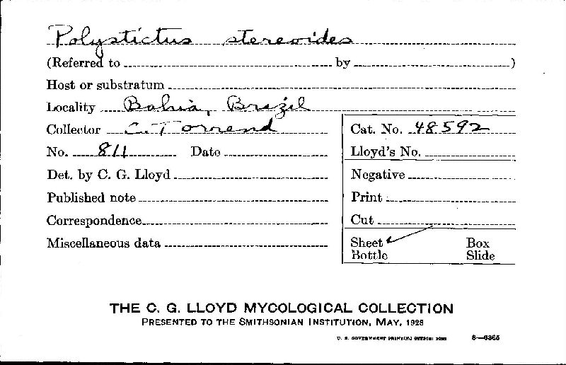 Datronia stereoides image