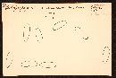 Rhizopogon ochraceorubens image
