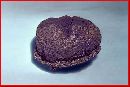 Media resource of Abstoma townei