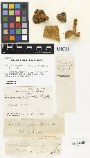 Thumbnail image of current specimen