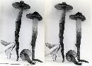 Phaeocollybia spadicea image
