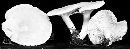 Thumbnail image of current specimen