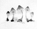 Mycena elegantula image