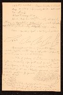 Boletellus chrysenteroides image