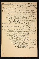 Psathyrella michiganensis image