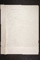 Coprinus laniger image