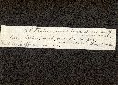Bolbitius variicolor image