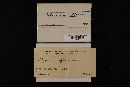 Media resource of Microporus flabelliformis