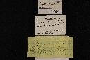 Media resource of Fomitopsis nivosa