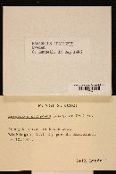 Image Associated With the Occurrence