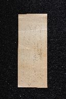 Hohenbuehelia angustata image