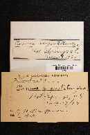 Hohenbuehelia angustata image