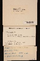 Image Associated With the Occurrence