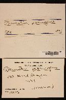 Pleurocybella porrigens image