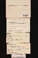 Rhodocollybia maculata image