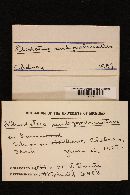 Rhodotus palmatus image