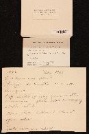 Tricholoma saponaceum image