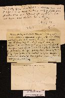 Xeromphalina tenuipes image