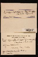 Xeromphalina tenuipes image