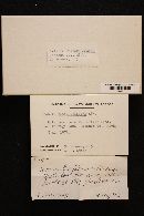 Amanita flavorubescens image