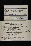 Image Associated With the Occurrence