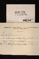 Image Associated With the Occurrence