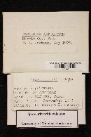 Image Associated With the Occurrence