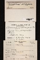 Image Associated With the Occurrence