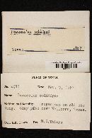 Image Associated With the Occurrence